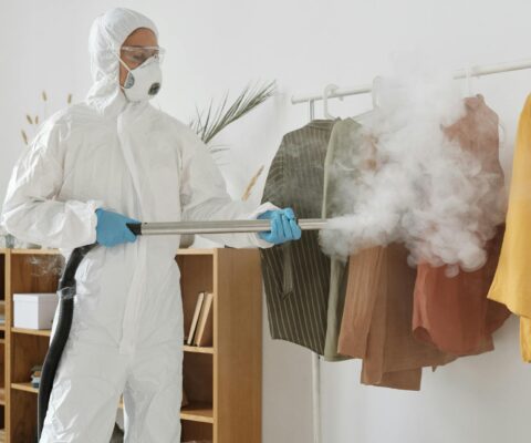 Pest Control Services in Melbourne